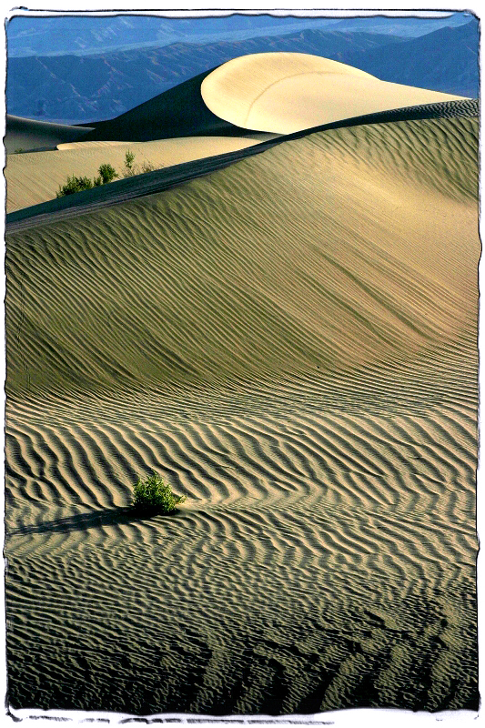 Death Valley Dunes 1 Death Valley, CA  Dave Hickey
